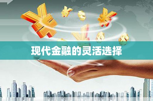 武清现代金融的灵活选择