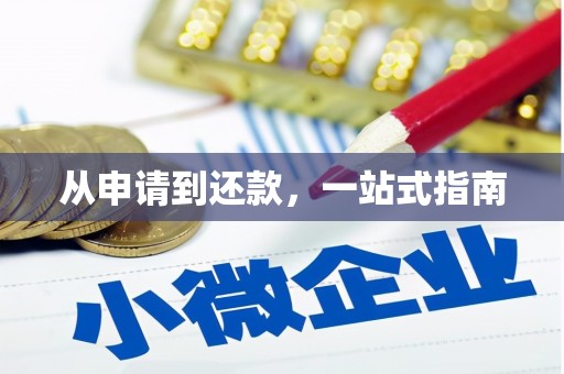 武清从申请到还款，一站式指南