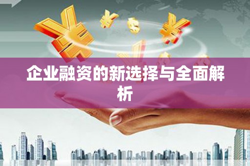武清企业融资的新选择与全面解析