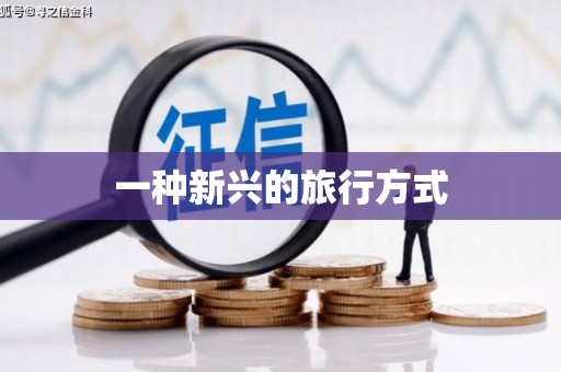 武清一种新兴的旅行方式