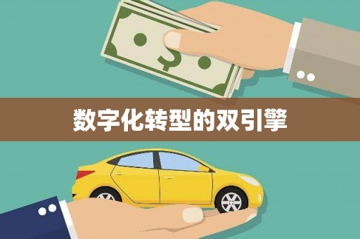 武清数字化转型的双引擎