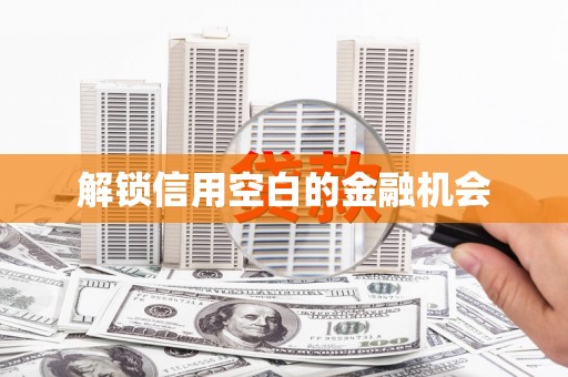 武清解锁信用空白的金融机会