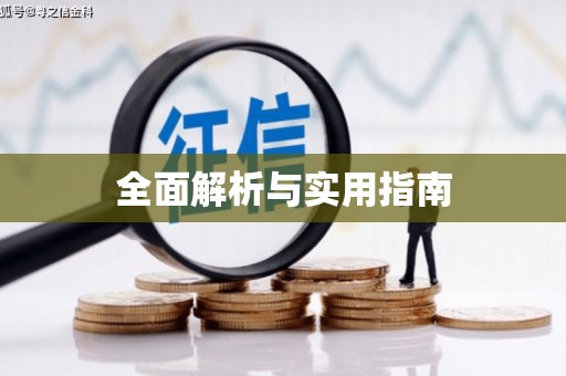 武清全面解析与实用指南