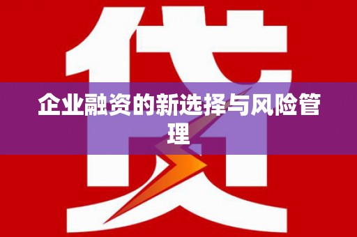 武清企业融资的新选择与风险管理