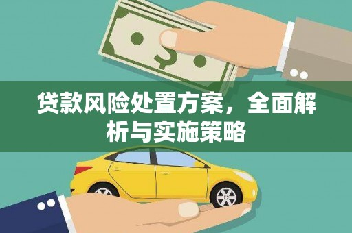 武清贷款风险处置方案，全面解析与实施策略