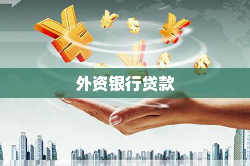 武清外资银行贷款