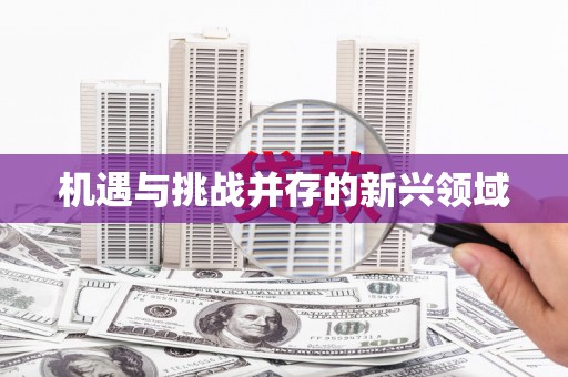 武清机遇与挑战并存的新兴领域