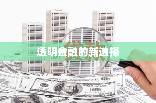 武清透明金融的新选择