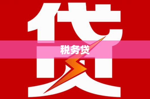 武清税务贷