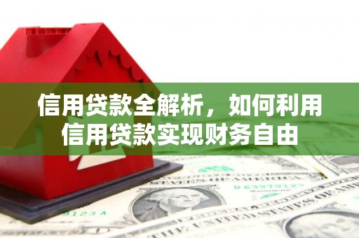 武清信用贷款全解析，如何利用信用贷款实现财务自由