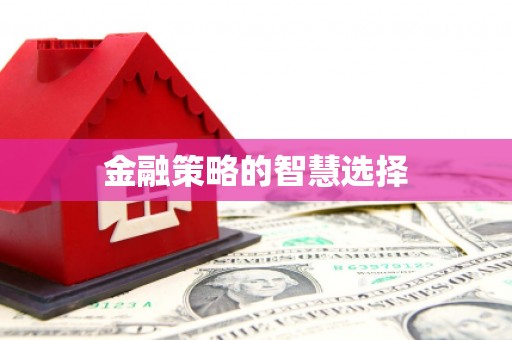 武清金融策略的智慧选择