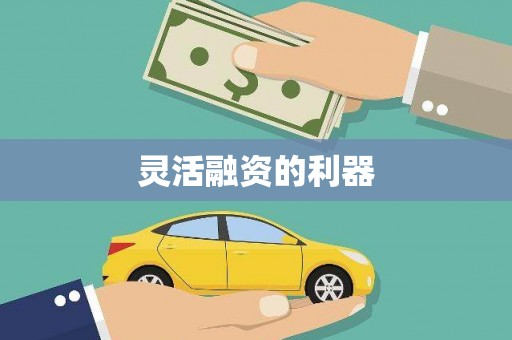 武清灵活融资的利器