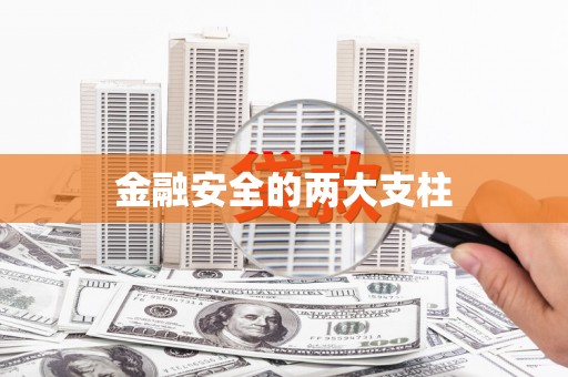 武清金融安全的两大支柱