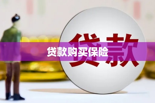 武清贷款购买保险