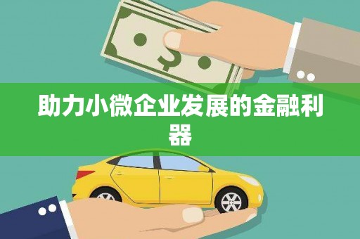 武清助力小微企业发展的金融利器