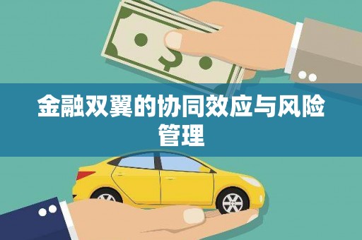 武清金融双翼的协同效应与风险管理