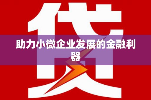武清助力小微企业发展的金融利器