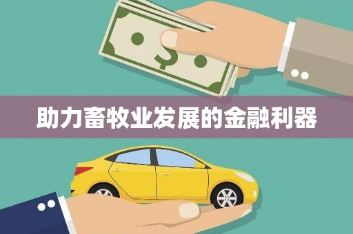 武清助力畜牧业发展的金融利器