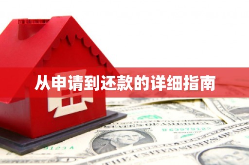 武清从申请到还款的详细指南