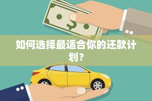 武清如何选择最适合你的还款计划？