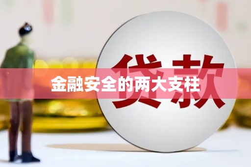 武清金融安全的两大支柱