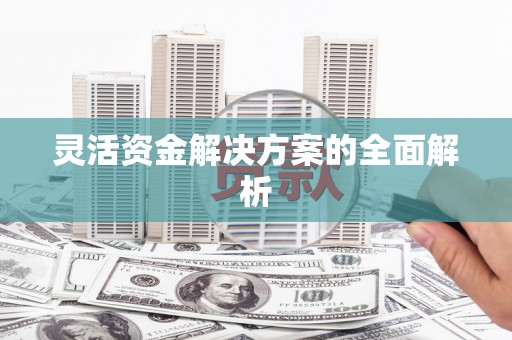 武清灵活资金解决方案的全面解析