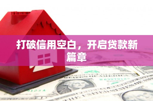 武清打破信用空白，开启贷款新篇章