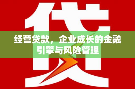 武清经营贷款，企业成长的金融引擎与风险管理