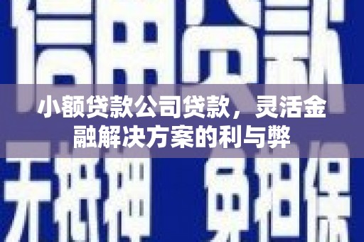 武清小额贷款公司贷款，灵活金融解决方案的利与弊