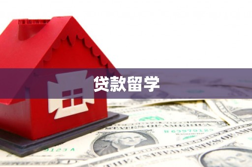 武清贷款留学