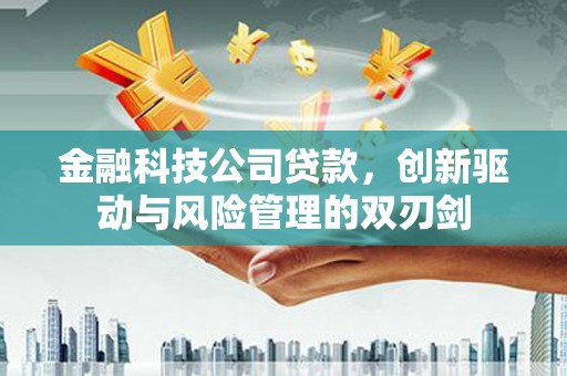 武清金融科技公司贷款，创新驱动与风险管理的双刃剑