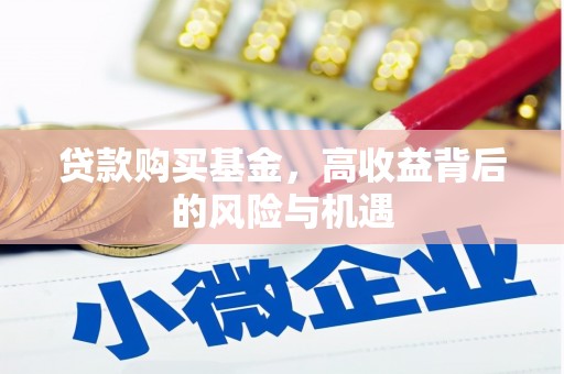 武清贷款购买基金，高收益背后的风险与机遇